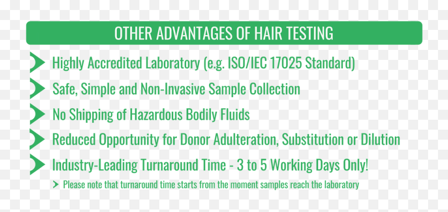 Hair Drug Test - Accurate Drug Screening Easydna Uk Number Png,Hair Strand Png