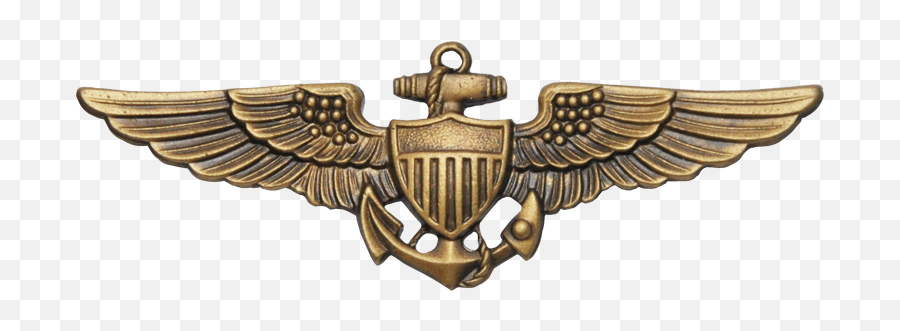 Usmc Naval Aviator Wings Regualtion - Navy Png,Pilot Wings Png