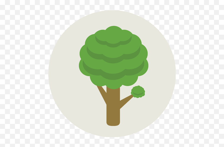 Tree Png Icon 78 - Png Repo Free Png Icons Icon,Tree Illustration Png