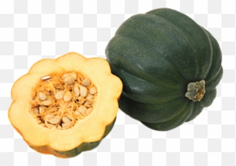 Zucchini Clipart Acorn Squash - Squash Png,Zucchini Png