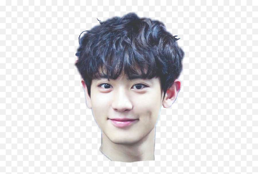 Download Hd Park Chanyeol Cute Transparent Png Image - Cute Chanyeol Sticker,Chanyeol Png