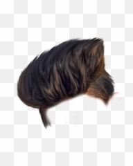 Boys Haircut Png Image - Boy Hair Style Png,Boys Png