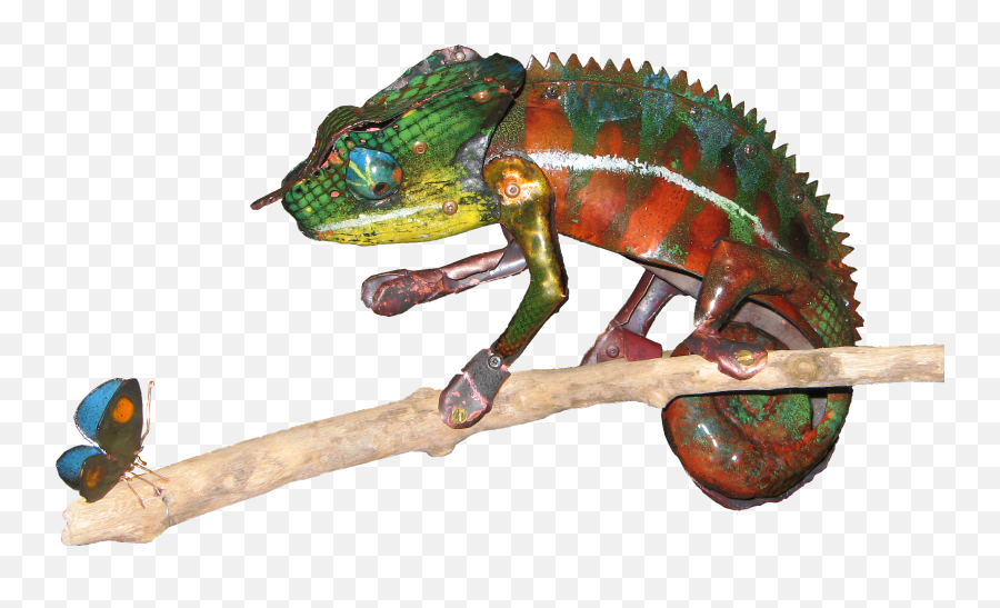 Chameleon Copper U0026 Enamel U2013 Hilary Bradt - Common Chameleon Png,Chameleon Png