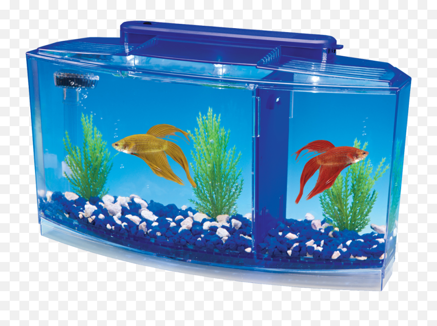 Betta Aquarium Kit With Led Lighting - Betta Fish Tank Png,Betta Fish Png