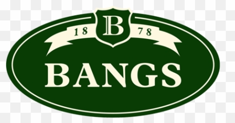 Bangs - Emblem Png,Bangs Png