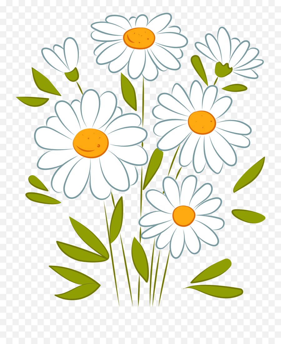 Clipart - Clip Art Image Of Daisy Png,Daisies Png