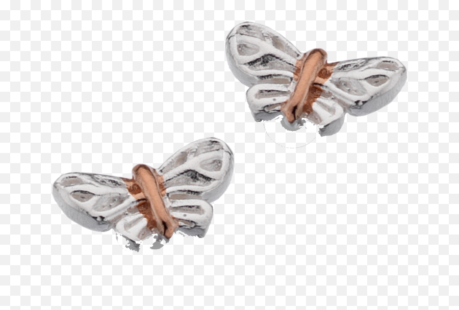 Silver Butterfly Studs With Rose Gold By Sea Gems - Milkweed Butterflies Png,Gold Butterfly Png