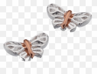 Silver Butterfly Studs With Rose Gold By Sea Gems - Milkweed Butterflies Png,Gold Butterfly Png