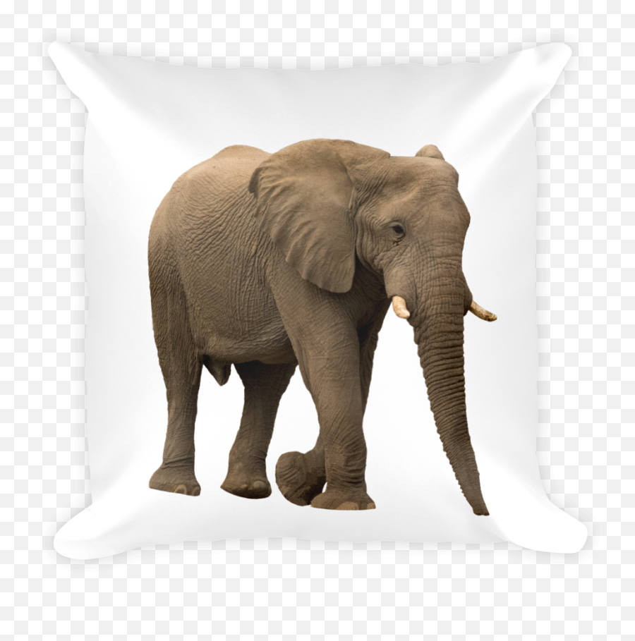 African - Forrestelephant Print Square Pillow Indian Elephant Png,Forrest Png