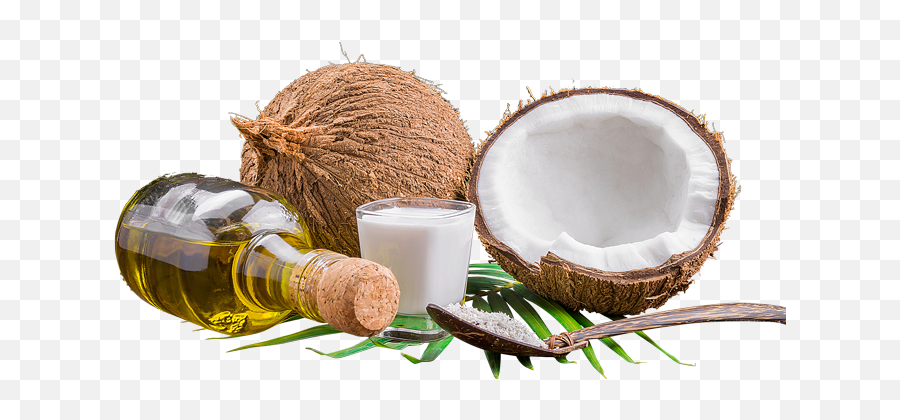 Coconut Png Pictures Fresh Fruits Tropical - Free Coconut Products,Coconut Transparent