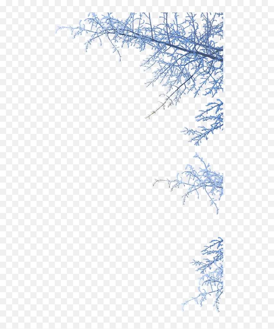 Winter Wonderland Png Images In - Winter Themed Png,Winter Wonderland Png