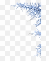 Winter Wonderland Png Images In - Themed