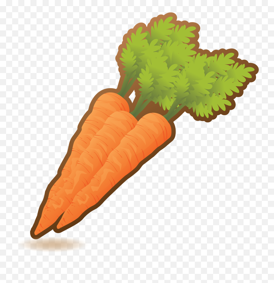Download Hd Baby Carrot Png - Baby Carrot Transparent Png Baby Carrot,Carrot Transparent