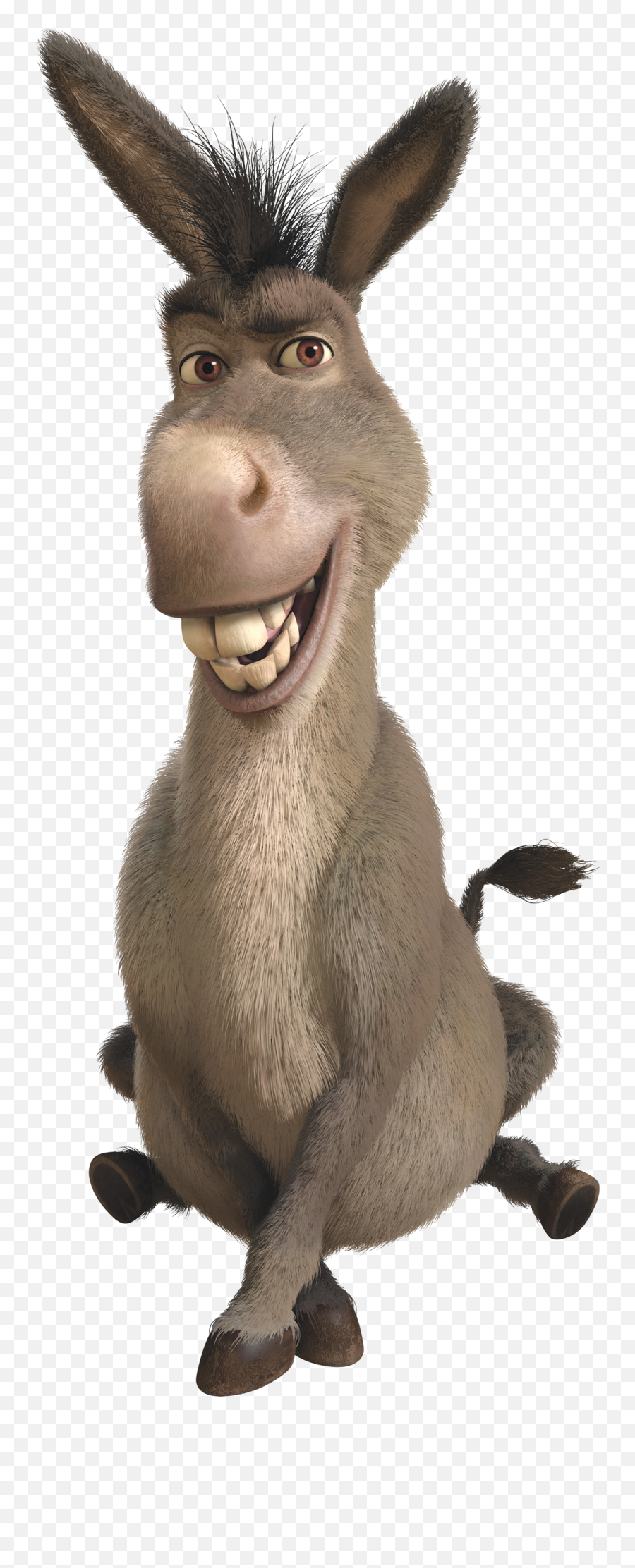 Download Donkey - Donkey From Shrek Name Png,Donkey Shrek Png