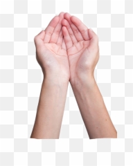 Hands Cupped Sticker - Two Cupped Hands Png,Cupped Hands Png