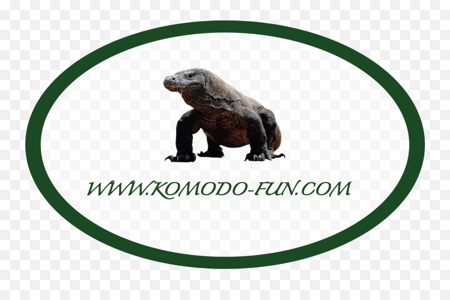 Home - Komodofun Komodo Dragon Png,Komodo Dragon Png