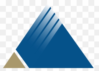 Tower Asset Management An Independent Investment Manager - Vertical png