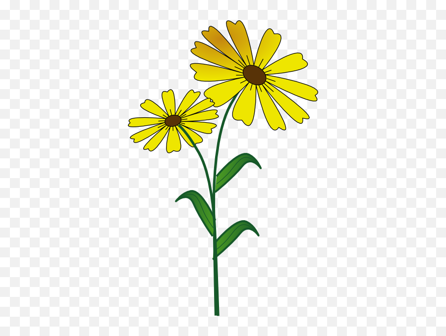 Download Yellow Daisy Border Dromiai Top Png - Yellow Daisy Clipart,Daisy Png