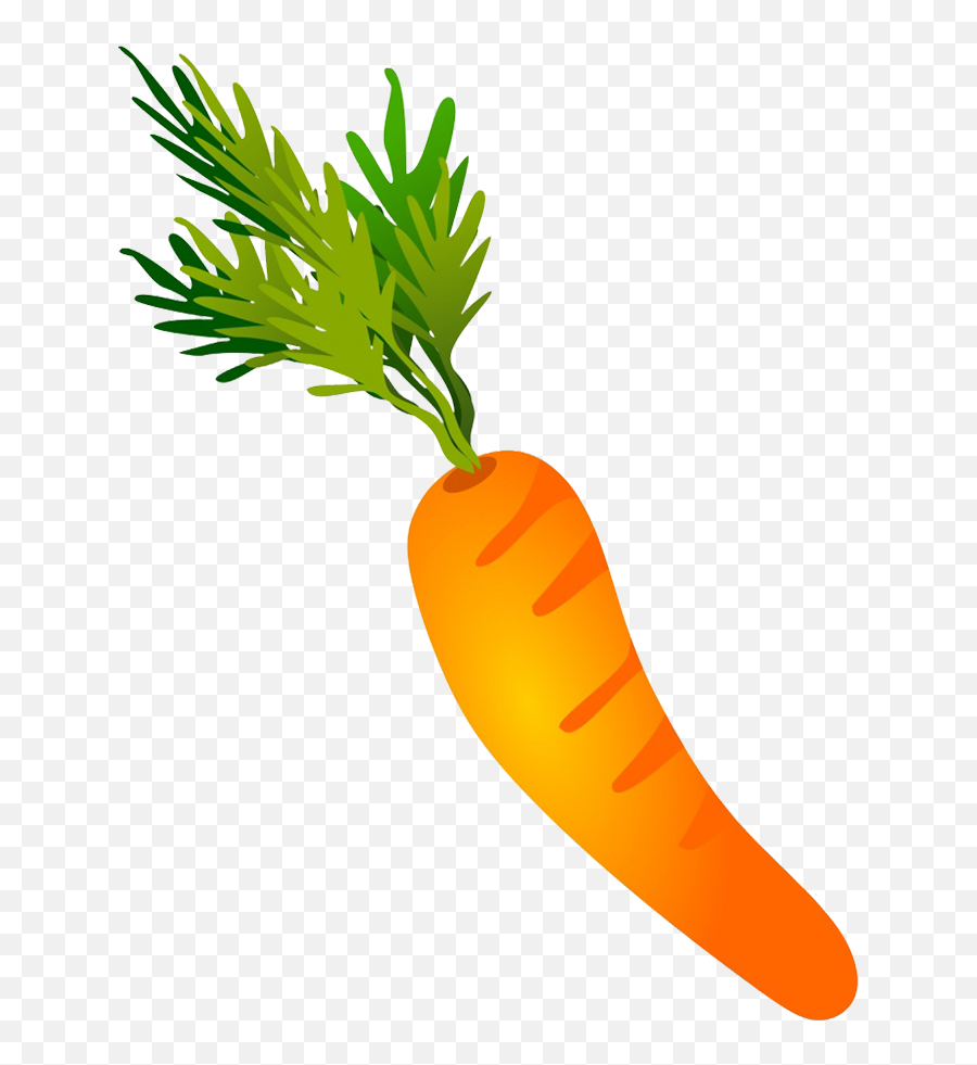 Vegetables Clipart - Carrot Drawing Png,Carrot Transparent Background