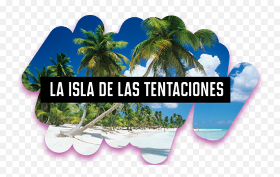 Cristian Jerez Todo Sobre El Concursante De U0027la Isla Las - Republique Dominicaine Ile Saona Png,Imagenes Y Frases De Memes Icon