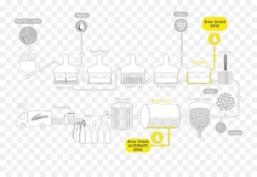 Beer Stabiliser Proven To Preserve Flavor Aroma And Color Png Hops Icon