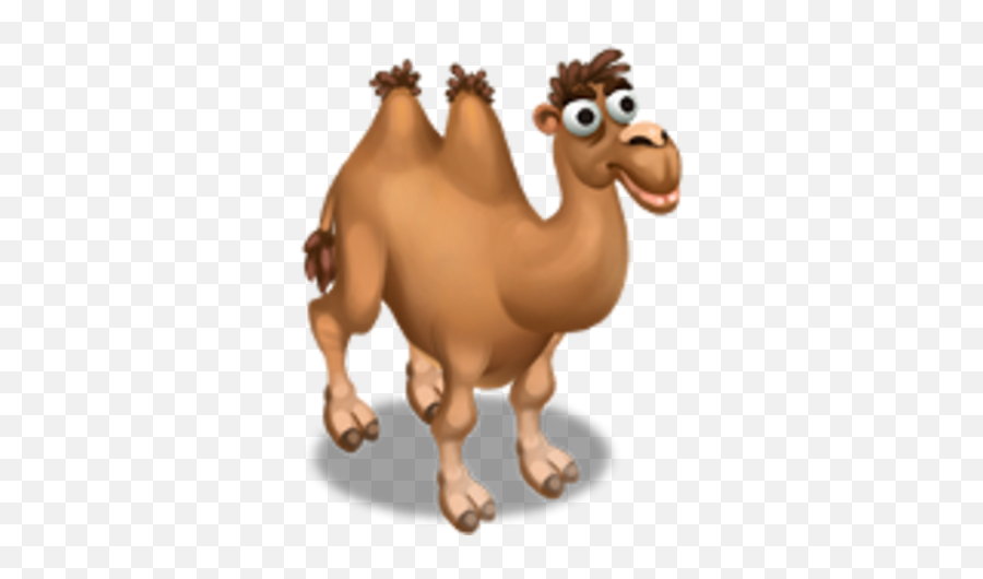 Camel Zoocraft Wiki Fandom - Bactrian Camel Png,Camel Png