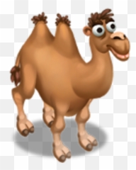 Camel Zoocraft Wiki Fandom - Bactrian Camel Png,Camel Png