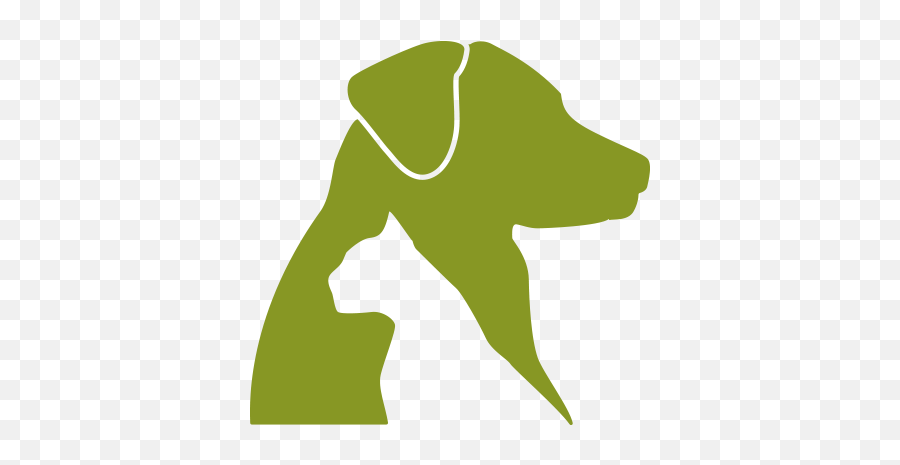 Download Hd Dog And Cat Icon Png - Face Dog And Cat Icon Png,Dog And Cat Png