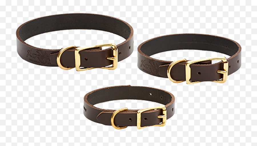 Dog Collars - Buckle Png,Collar Png