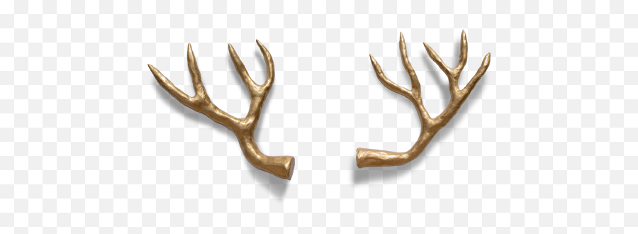 Reindeer Antler - Deer Antlers Png,Antlers Png