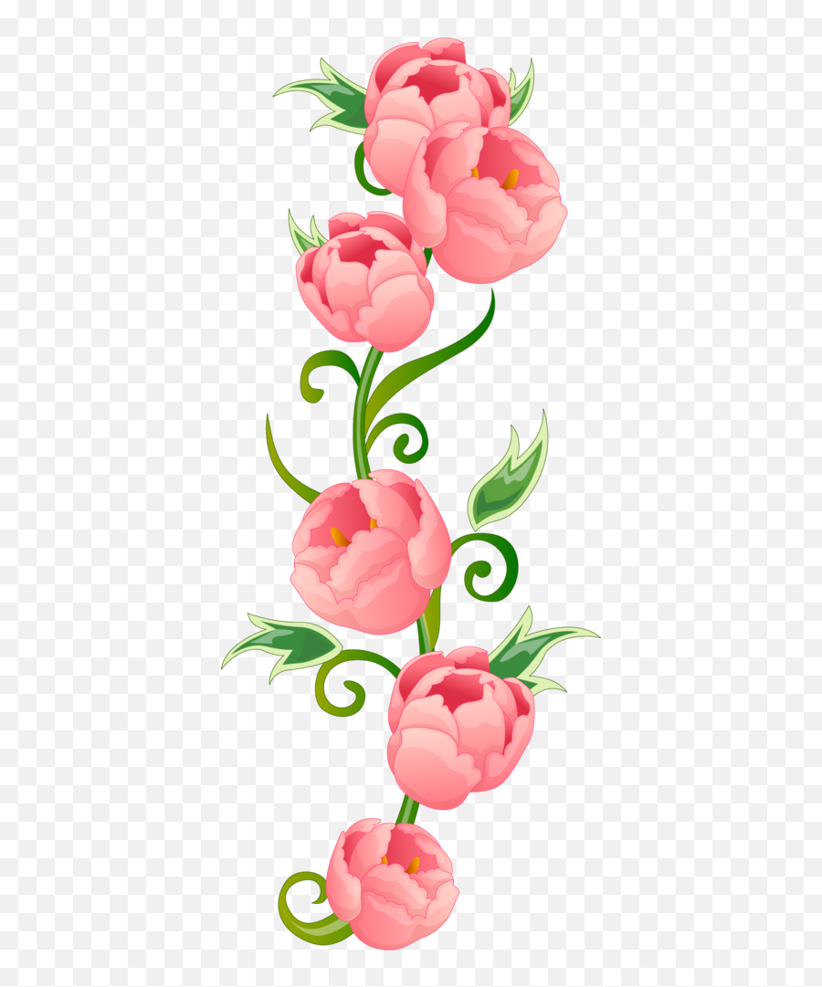 Peonies - Flower Wall Mural Shower Bright Clipart Full Boss Happy Retirement Wishes Png,Peonies Png