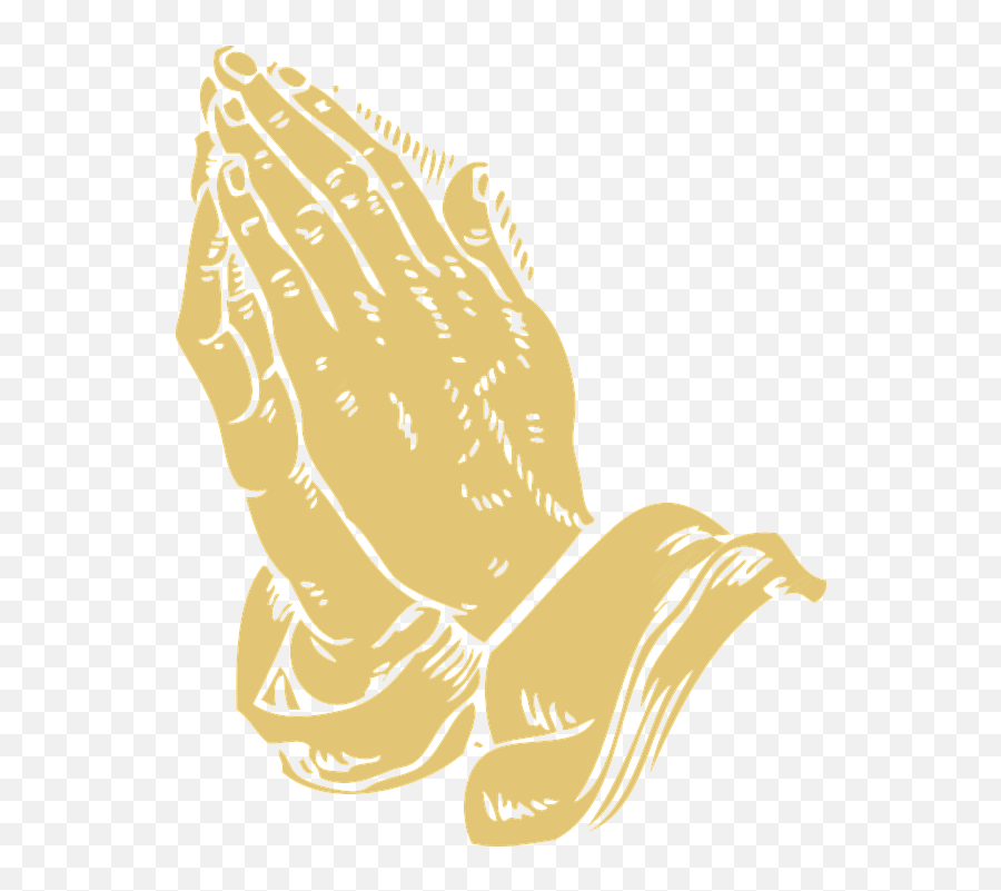 Folded Hands Praying Pray Prayer - Gold Praying Hands Png,Praying Hands Transparent