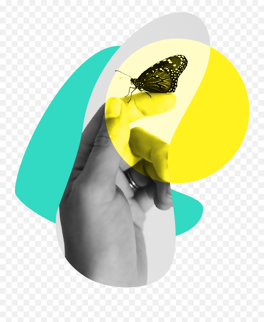 Contact Responsive Fundraising - Hand Butterfly On Finger Png,Fundraising Png