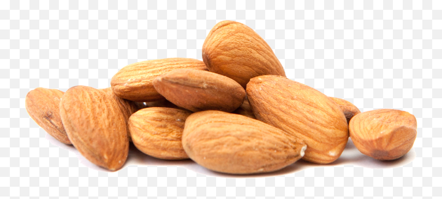 Almond Milk Clip Art Nut Food - Disease Foods To Avoid Png,Dates Png