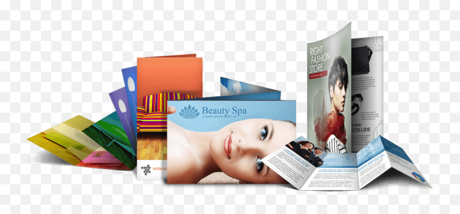 Logo Designer Graphic Design Printing - Brochures Printing Png,Graphic Design Png