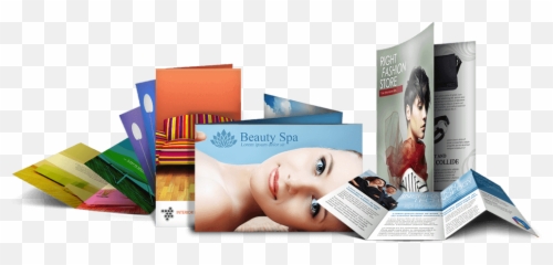Logo Designer Graphic Printing - Brochures Png