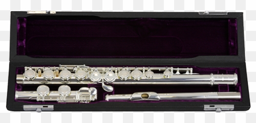Trevor James Flute 3015 - Trevor James 5x png