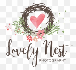 Confetti U0026 Glitter Mini Sessions Lovely Nest Photography Png