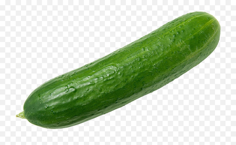 Single Cucumber Png Image Background - Cucumber Png,Cucumber Png