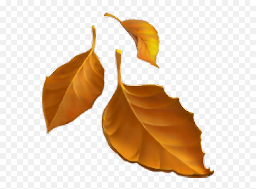 Fall Leaves Emoji Transparent - Fall Leaves Emoji Png,Leaf Emoji Png
