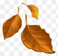 Emoji U1f33f - Emoji De Hierva Png,Leaf Emoji Png - free transparent ...