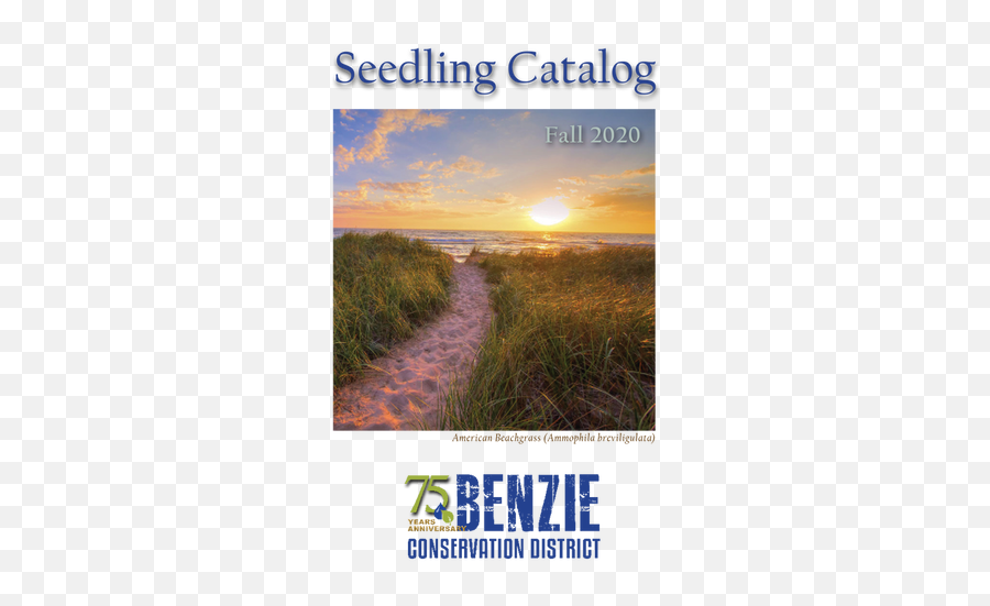 Seedling Sales - Horizon Png,Seedling Png