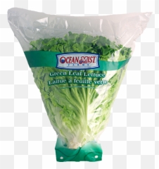 Leaf Lettuce Png