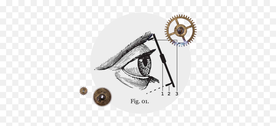 How Do Monocles Stay - Put On A Monocle Png,Monocle Transparent