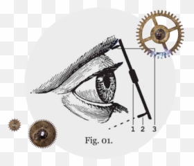How Do Monocles Stay - Put A png