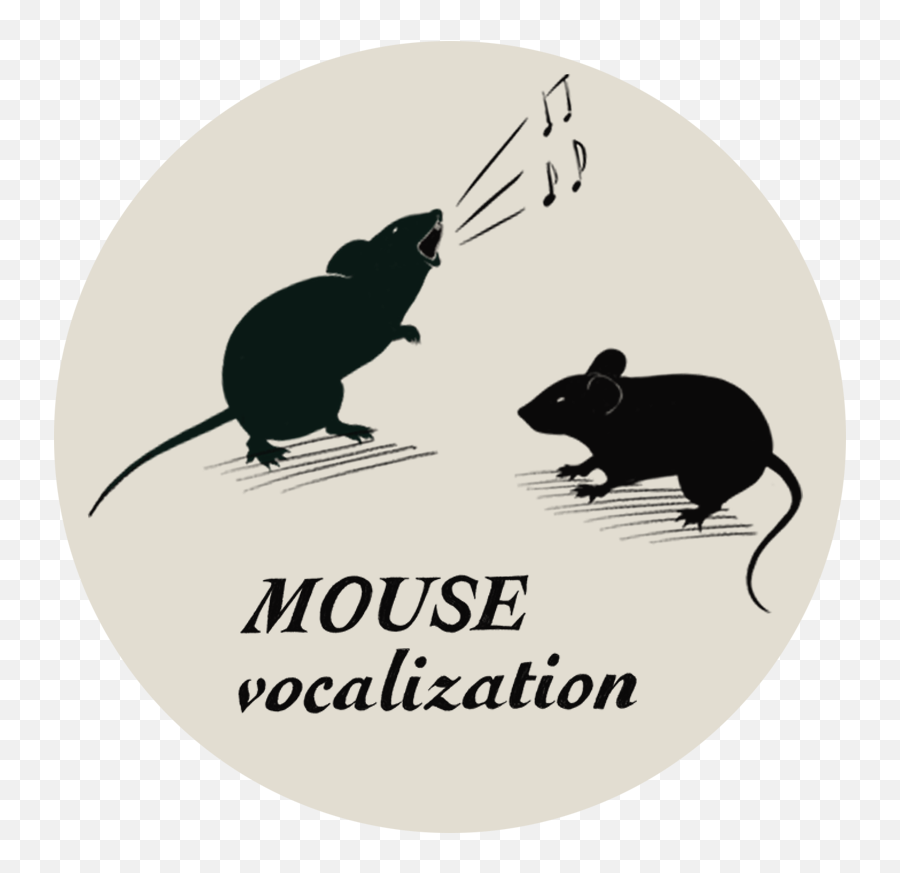 Research - Focal Cooling In Mice Png,Mouse Rodent Icon