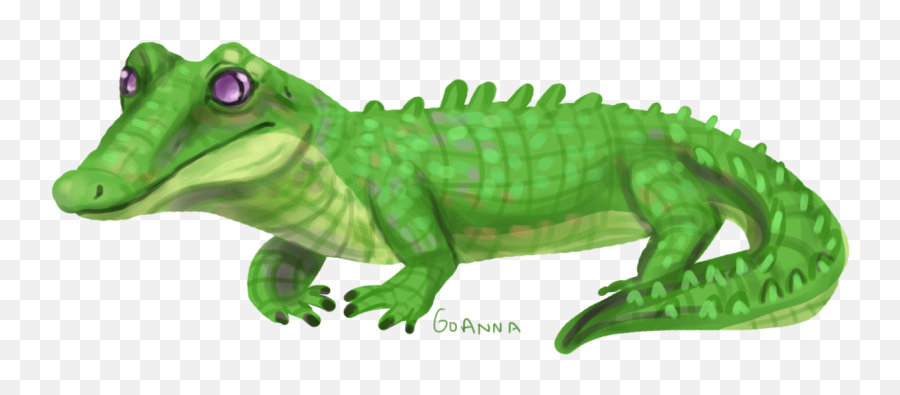 Goanna Gummy - Nile Crocodile Png,Alligator Transparent Background