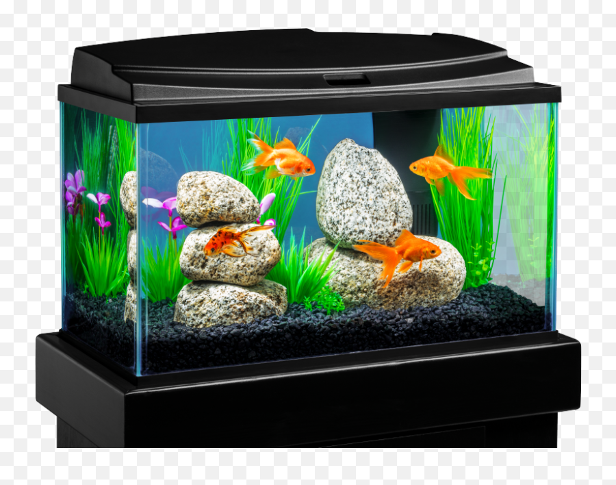 Download 18 Gallon Fish Tank Png Image With No Background - Fish Tank Transparent Background,Tank Transparent Background
