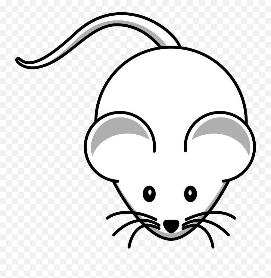 Mouse Mice Animal - White Mouse Black Background Png,Mice Png