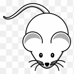Mouse Mice Animal - White Mouse Black Background Png,Mice Png